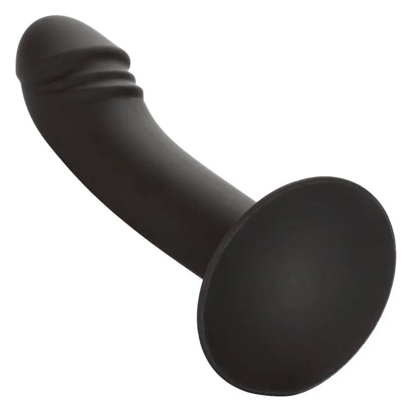 Calexotics - Curved Anal Stud