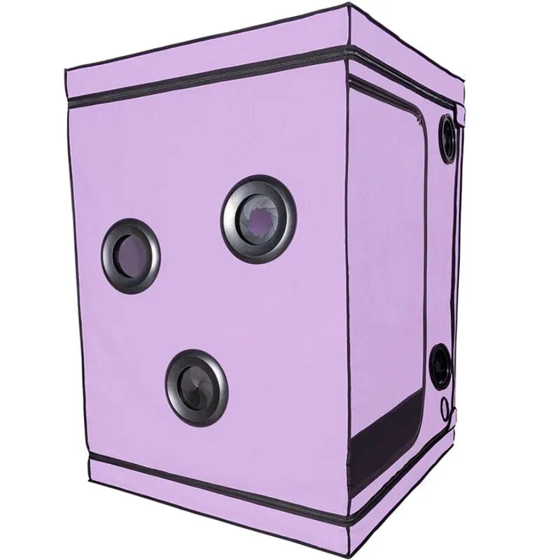 Secret Dome - Kink Club Cabin Scandale morado